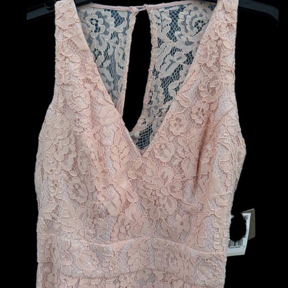 NWT AIDAN MATTOX ~ Pink Lace Illusion Bodice Keyhole Flare Party Dress Sz 4 - Picture 5 of 11
